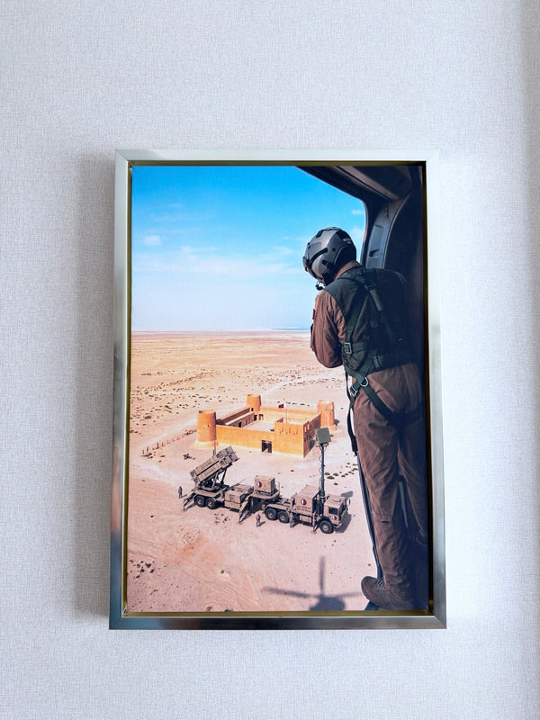 Desert Sentinel